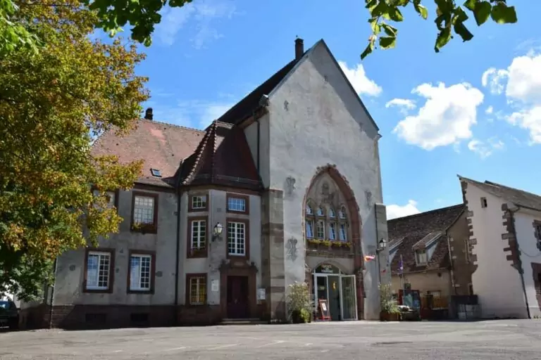 Rapports d’activités